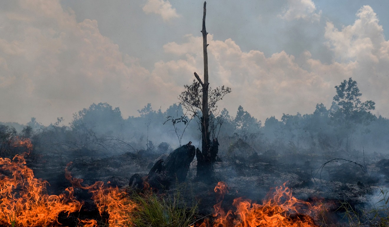 In this file photo taken on February 1, 2018, smoke rises up from a peatland fire in Pekanbaru, Riau province, one of 73 detected hotspots causing haze on the island of Sumatra. Rainforests are being razed in Indonesia for palm oil plantations. Photo: AFP