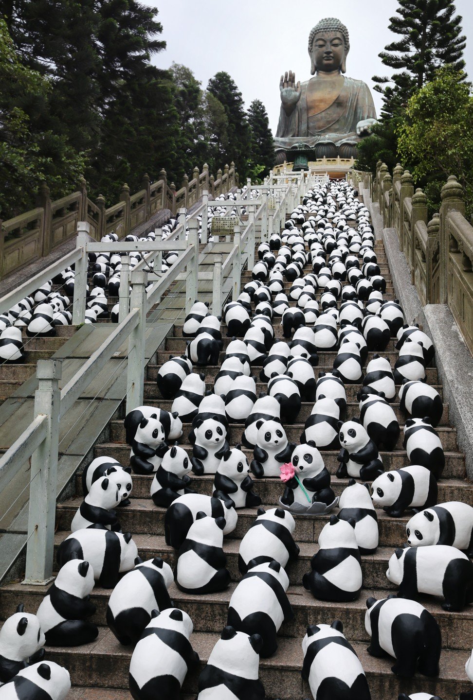 Paulo Grangeon’s Pandas on Tour on the stairs leading up to the Tian Tan Buddha on Lantau Island, Hong Kong. Photo: K.Y. Cheng