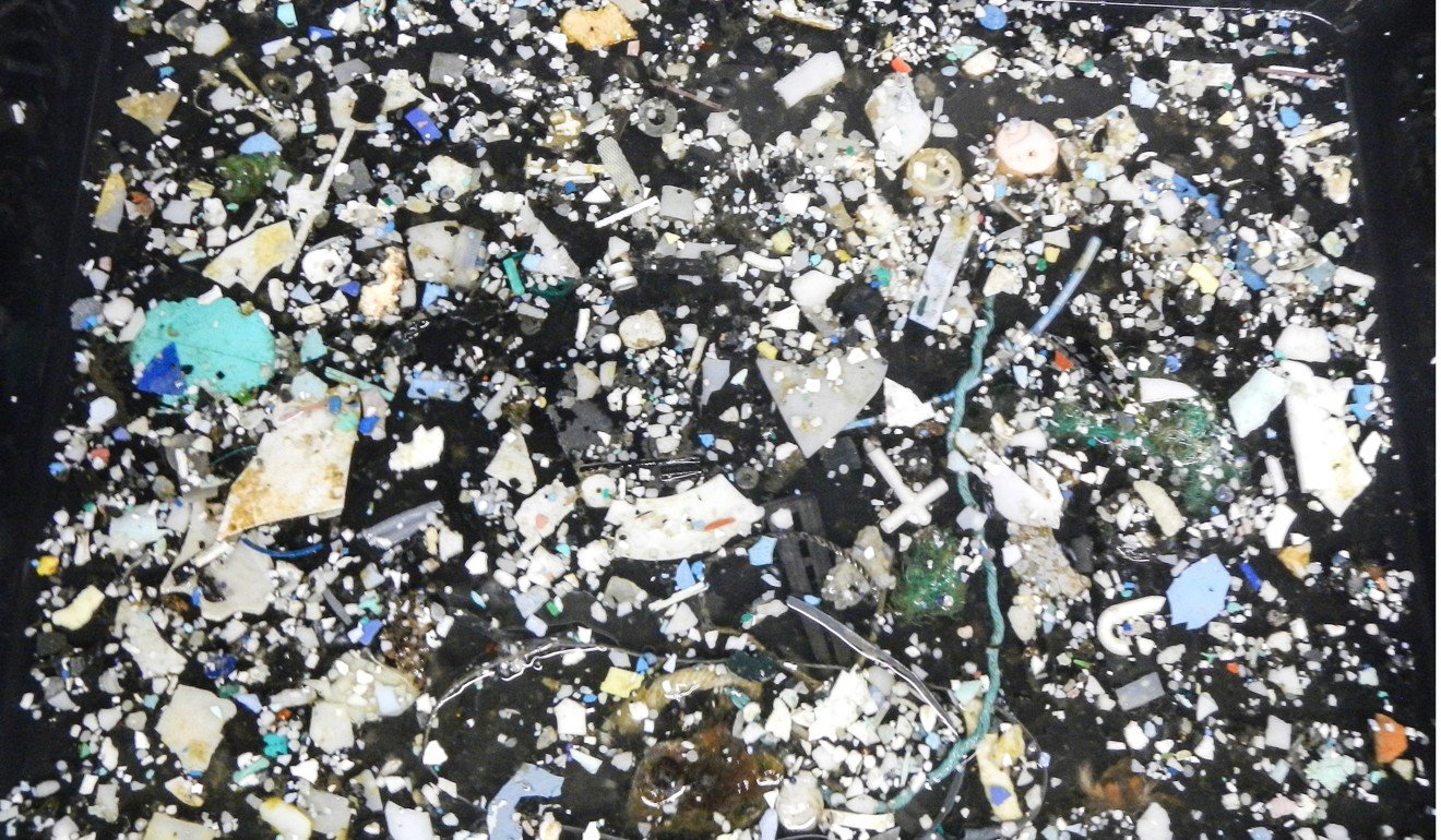 A sampling of plastic from the Great Pacific Garbage Patch. Photo: Ocean Cleanup Foundation