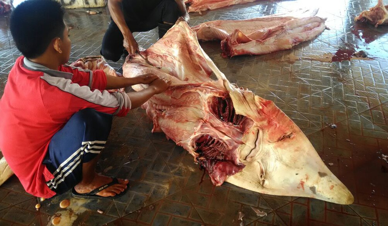 Sharks sold at a fish market in Tanjung Luar, East Lombok. Photo: Amanda Siddharta