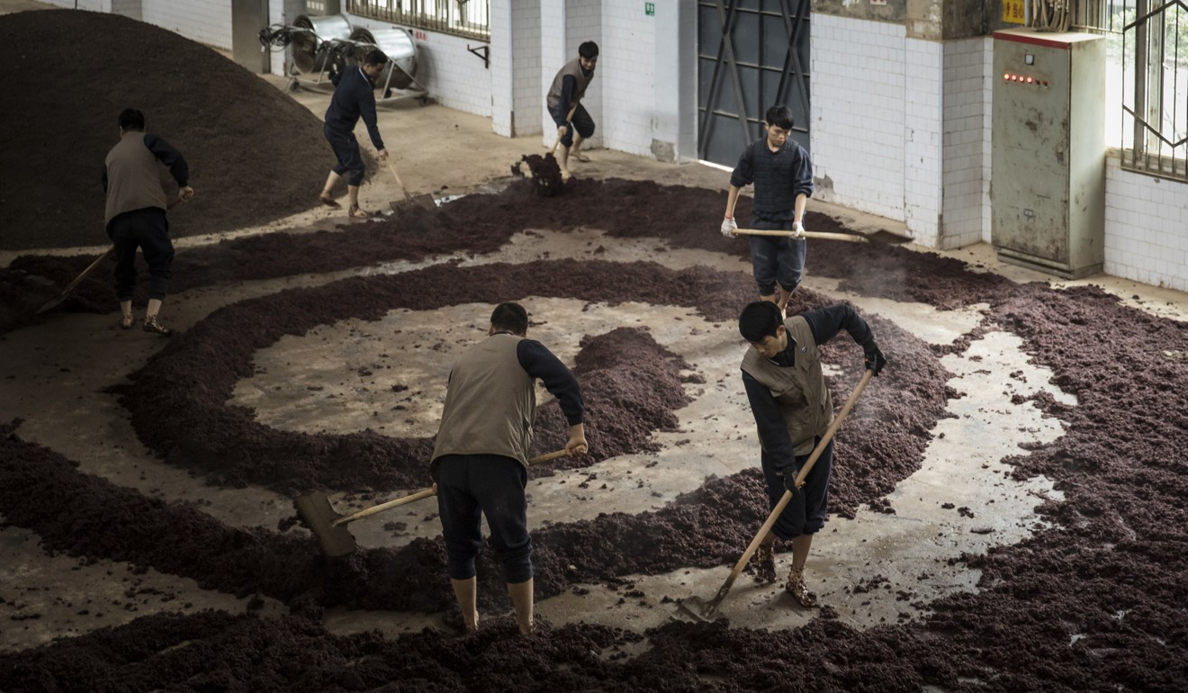 Workers spread steamed sorghum to cool ahead of fermentation at the Kweichow Moutai distillery in Guizhou province, producing the liquor baijiu. Photo: Bloomberg
