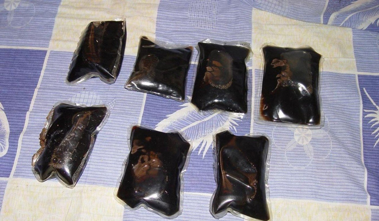US authorities say Lopez stitched packets of heroin into the bellies of Labrador retrievers and other breeds. Photo: DEA