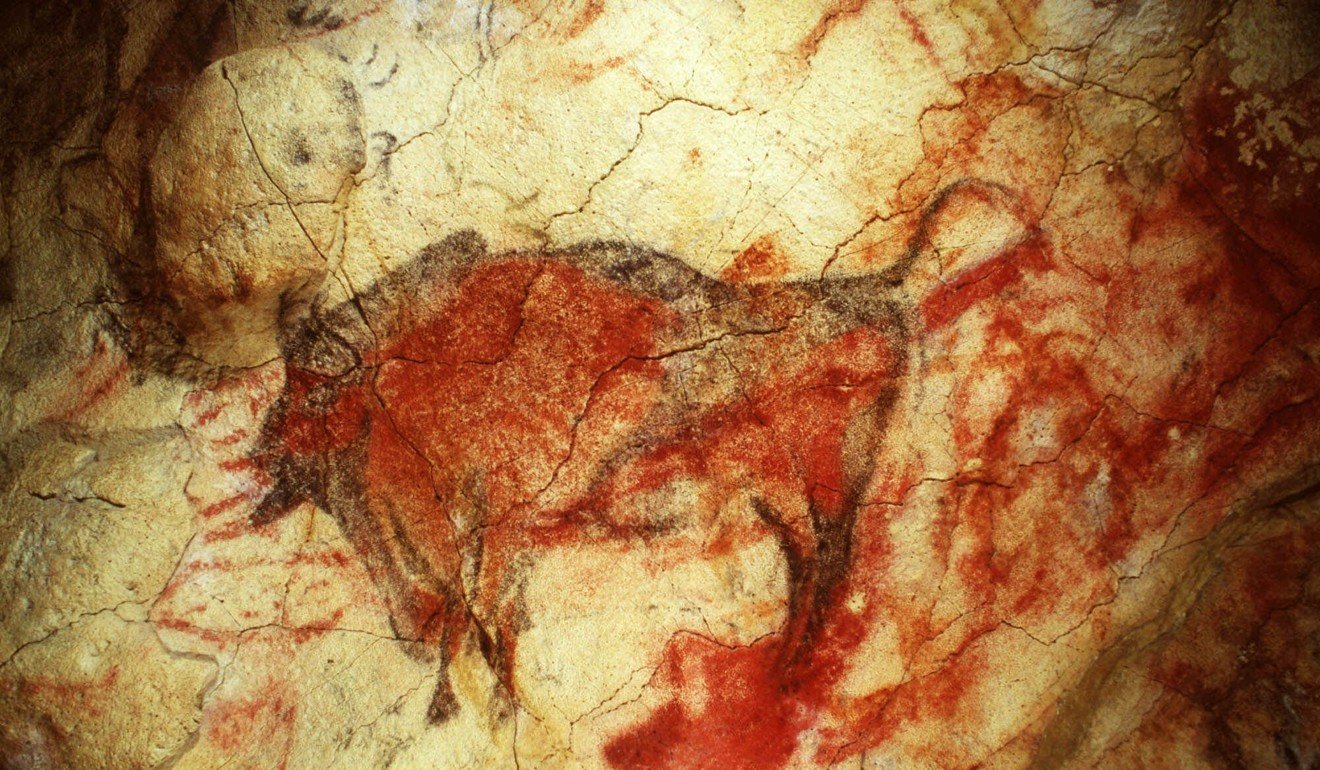 This 1985 photo released by Pedro A. Saura, shows a large male bison, the best known figure in the Altamira cave in northern Spain. Photo: AP 