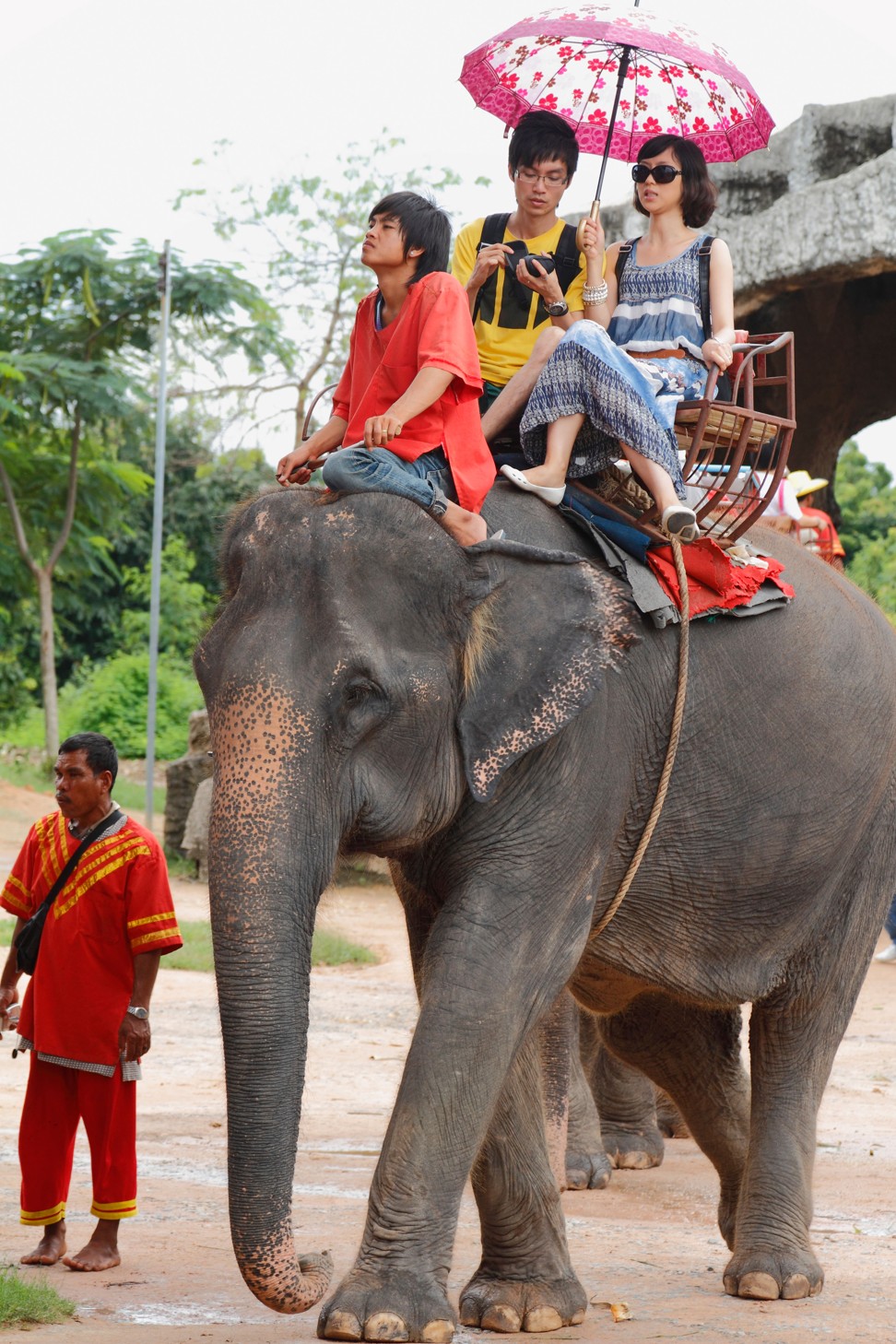 Chinese tourists ride an elephant in Pattaya. Picture: Alamy