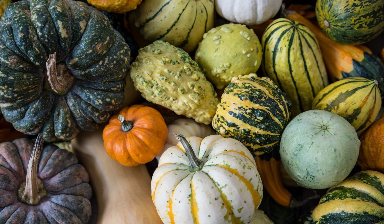Assorted squashes and pumpkins. Photo: Shutterstock