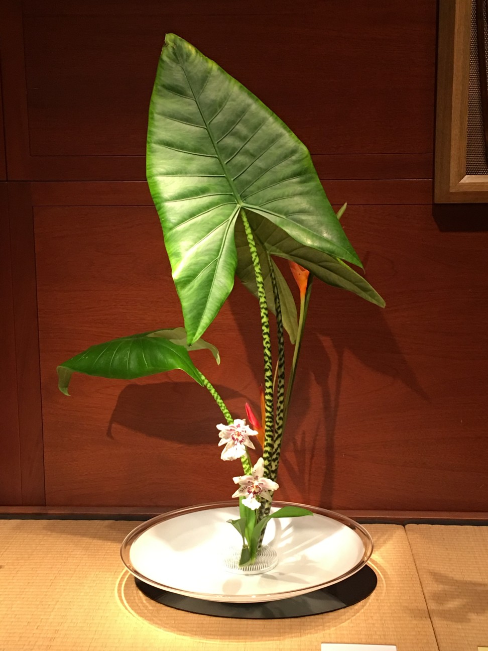 Shoka by Lian-Pey Robins at the Ikenobo Ikebana Society New York.