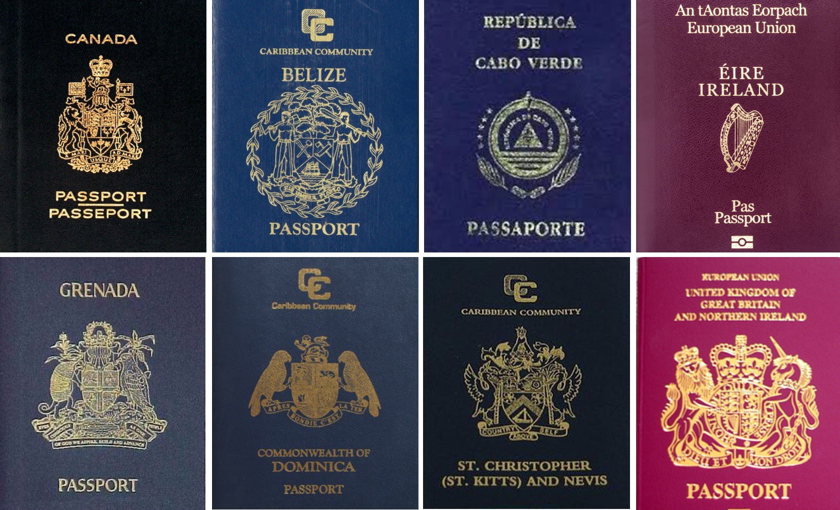 Обложки паспортов разных стран
