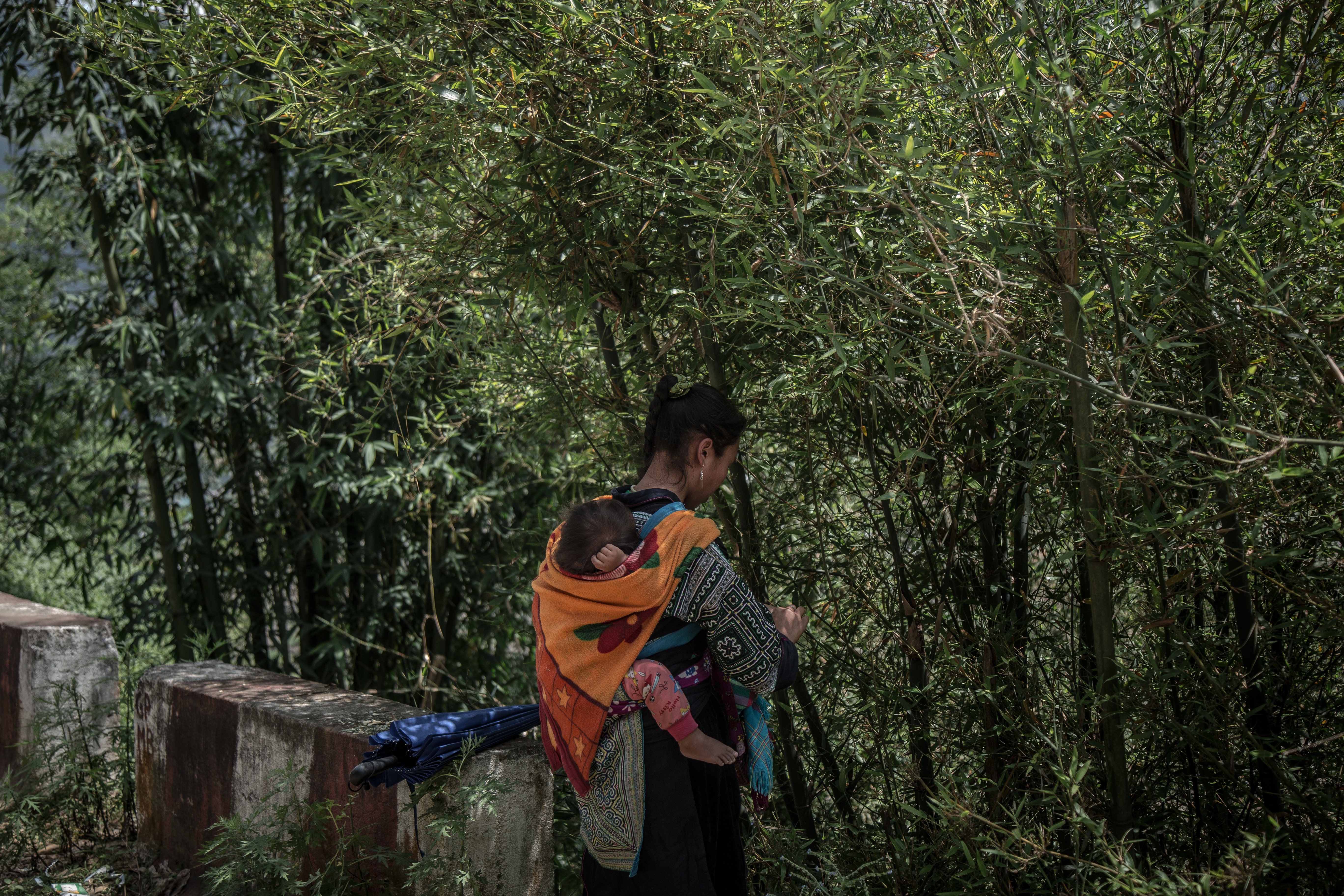 In the rural mountains of Vietnam, young girls are disappearing from their homes with increasing regularity. Many turn up across the border, sold as wives for the price of a buffalo