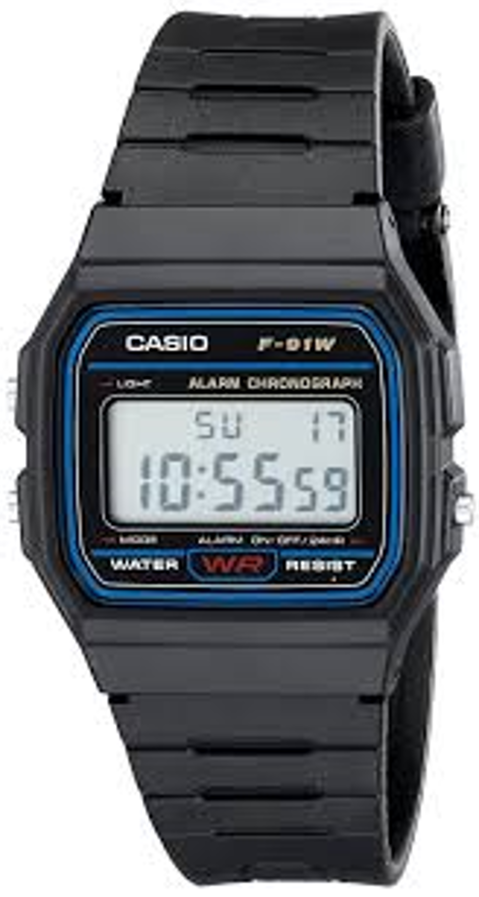 The Casio F-91W watch.