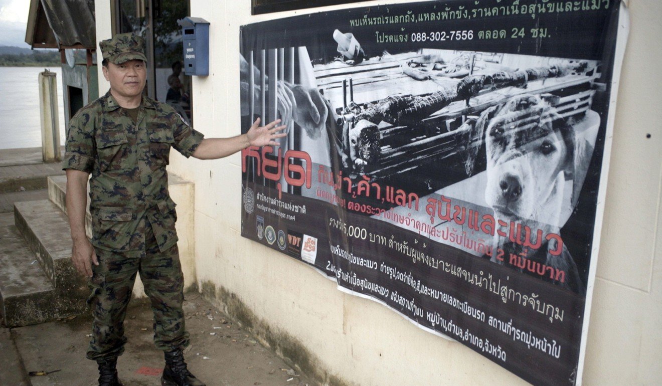 The Thai navy has set up special patrols to stem the smuggling of dogs into Vietnam. Photo: World Dog Alliance