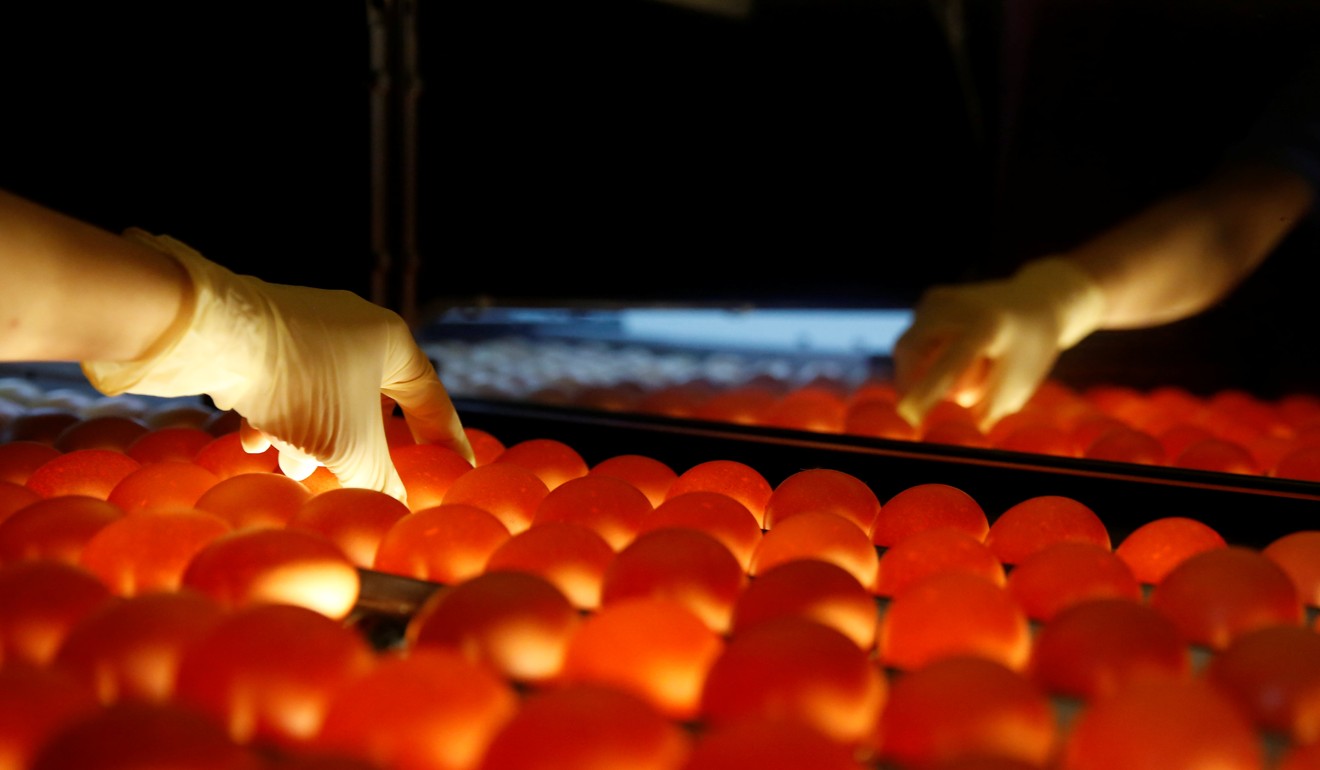 A woman inspects eggs for cracks at the Huayu hatchery in Handan, Hebei province. Photo: Reuters
