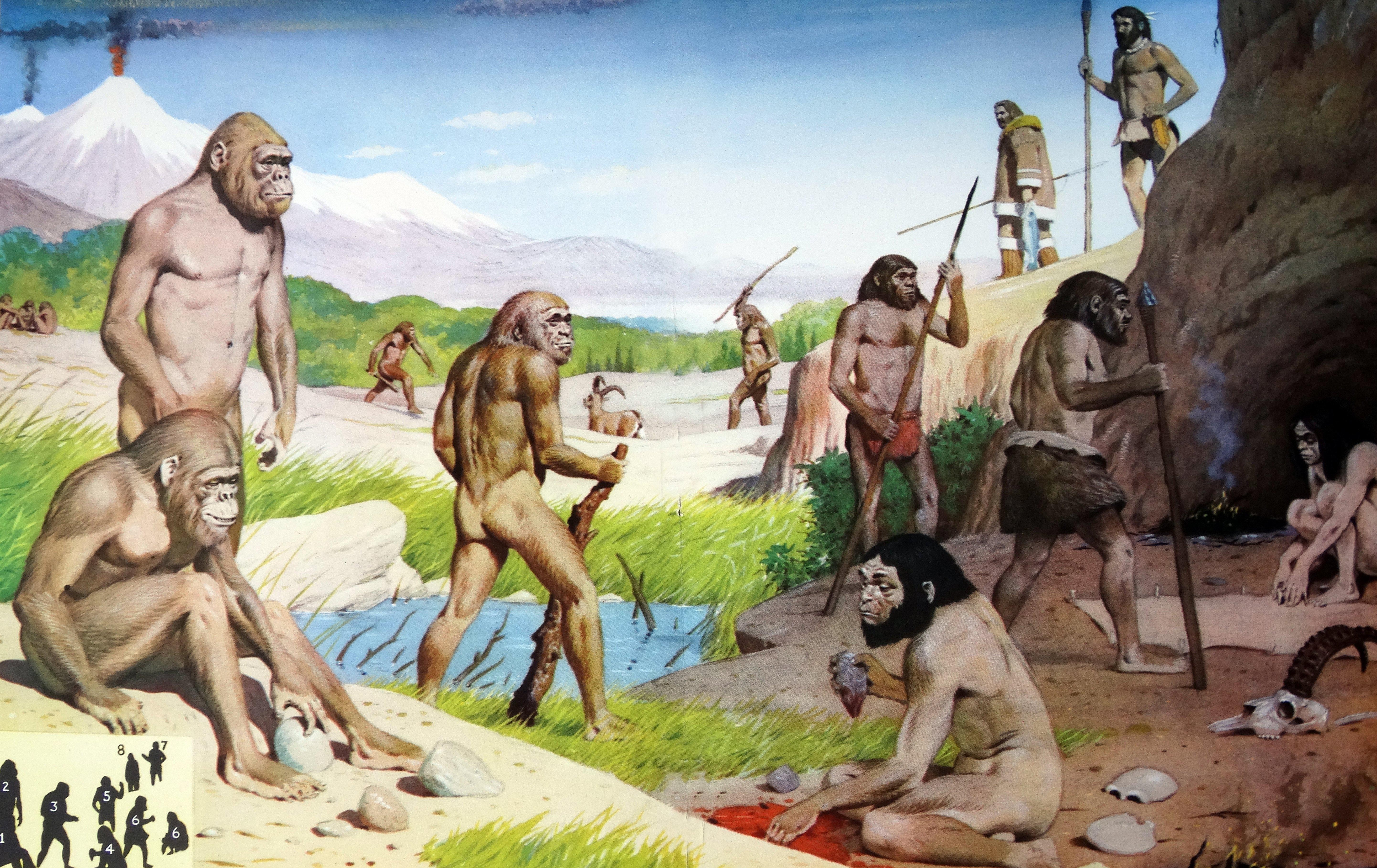 A century on from Peking Man, the discovery of fossils in China and beyond over the last decade has given palaeoanthropologists pause for thought, suggesting that, maybe, Africa was not the only ‘human cradle’