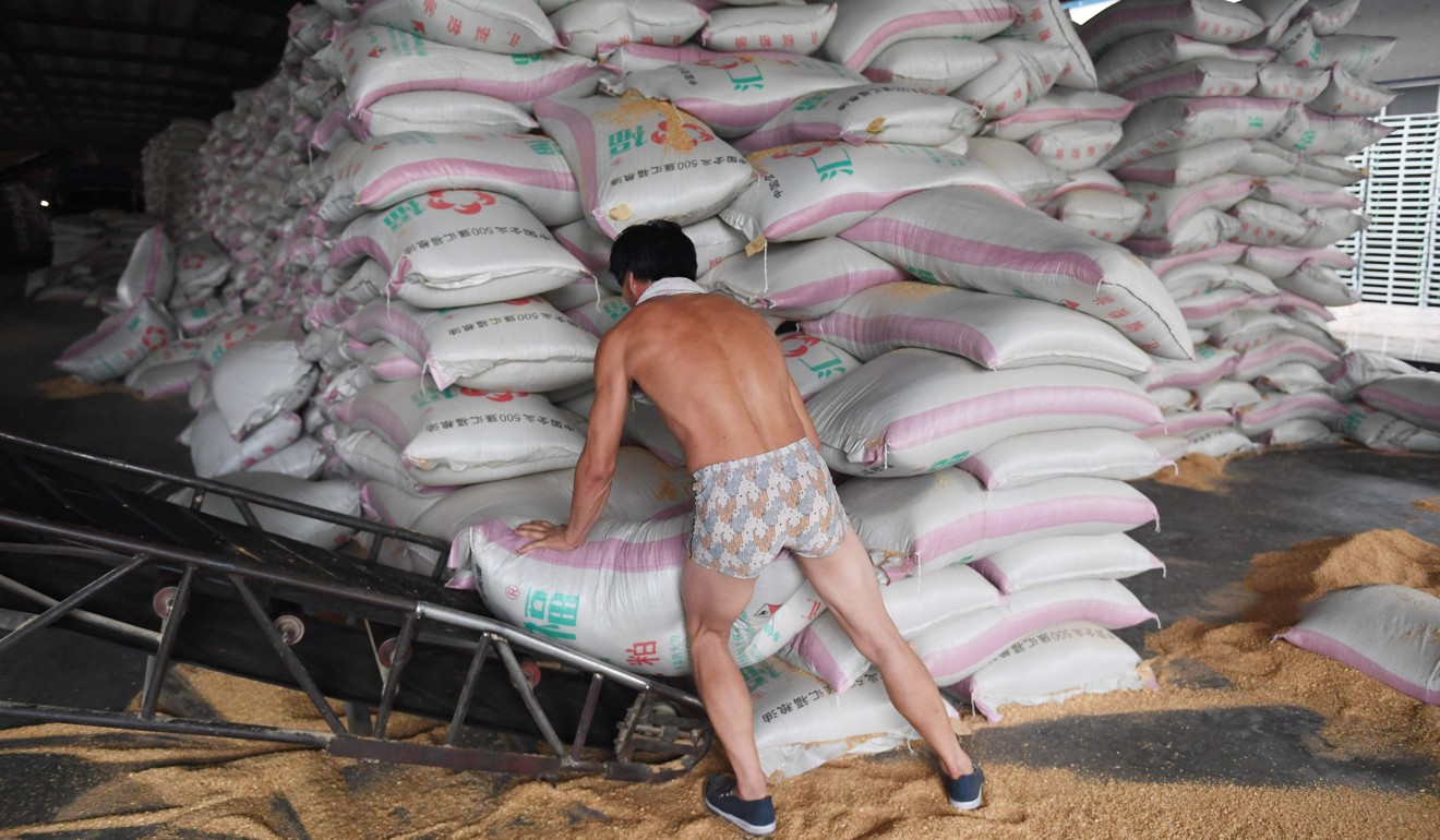 A worker loads sacks of animal food made from soybeans at the Hopefull Grain and Oil Group in Sanhe, in China's Hebei province on July 19. Photo: AFP