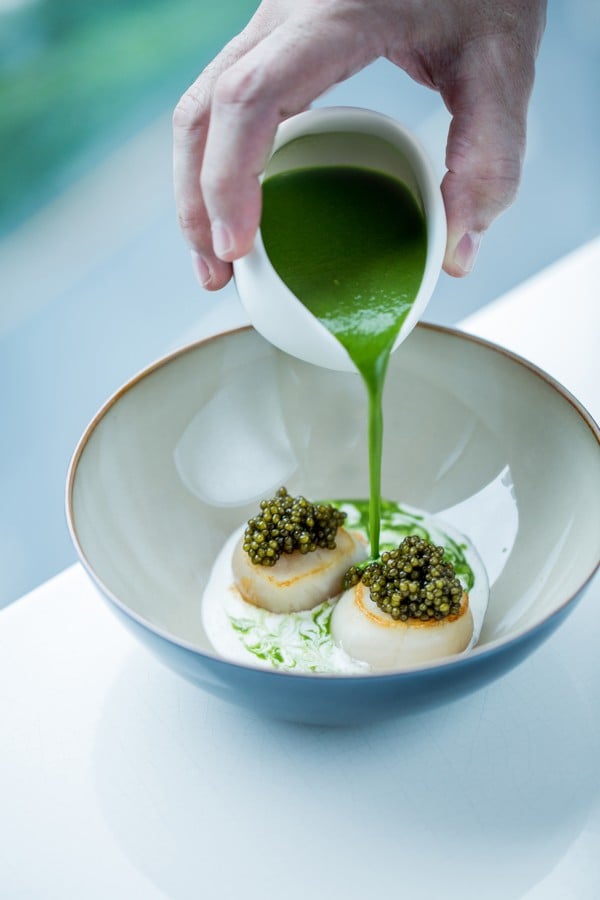 Lettuce broth. sea scallop and gold caviar is on the menu at Voyage by Alain Ducasse.