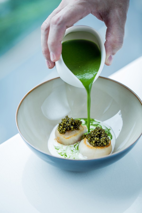 Lettuce broth. sea scallop and gold caviar is on the menu at Voyage by Alain Ducasse.