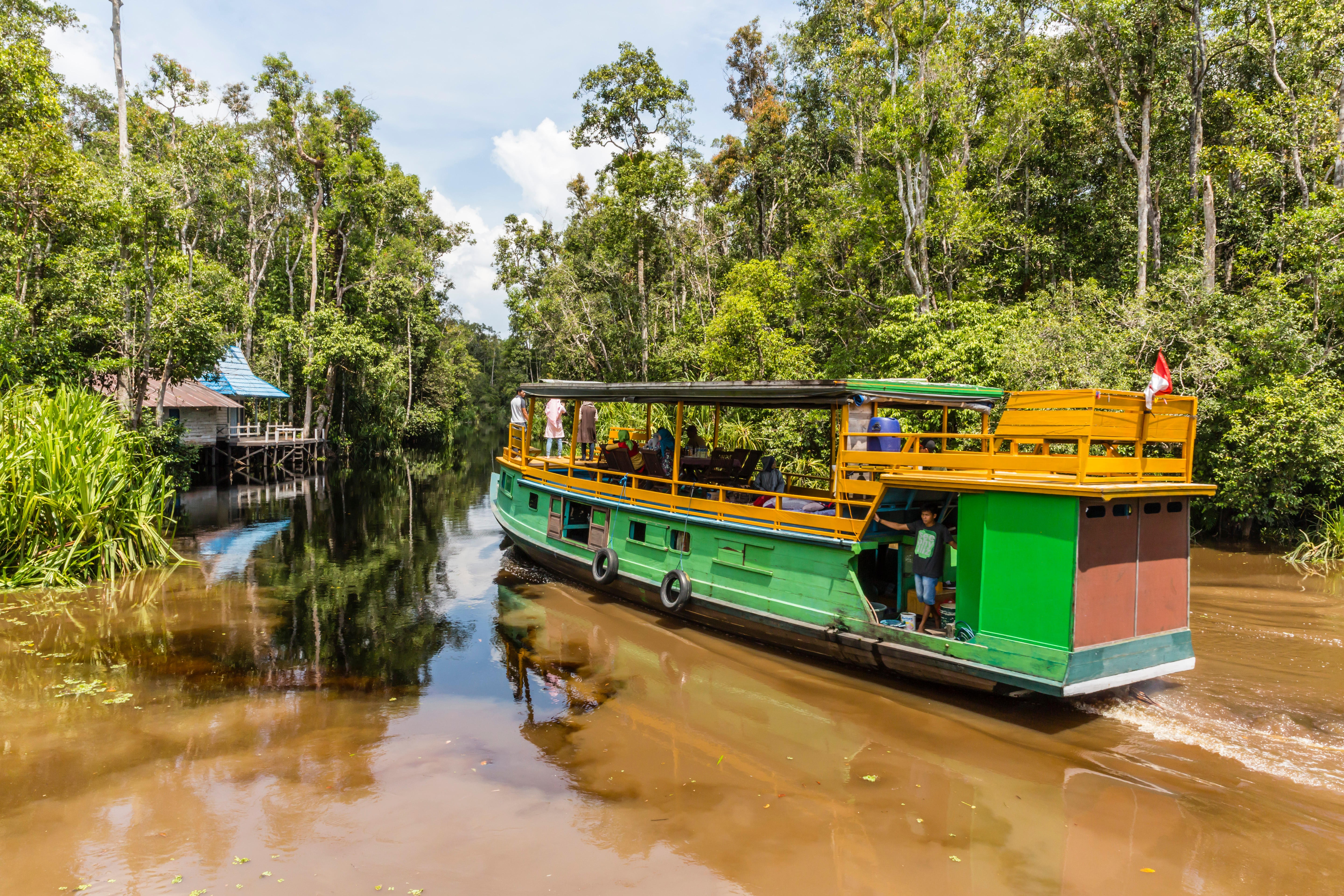 Tourists on a boat trip to experience Borneo’s natural beauty. Photo: Alamy