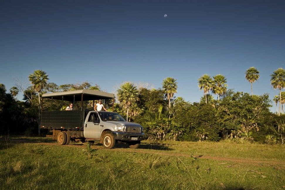 Photography expeditions in Brazil’s Pantanal wetland region offer the chance to picture wildlife including jaguars, giant river otters, hyacinth macaws and tapirs.