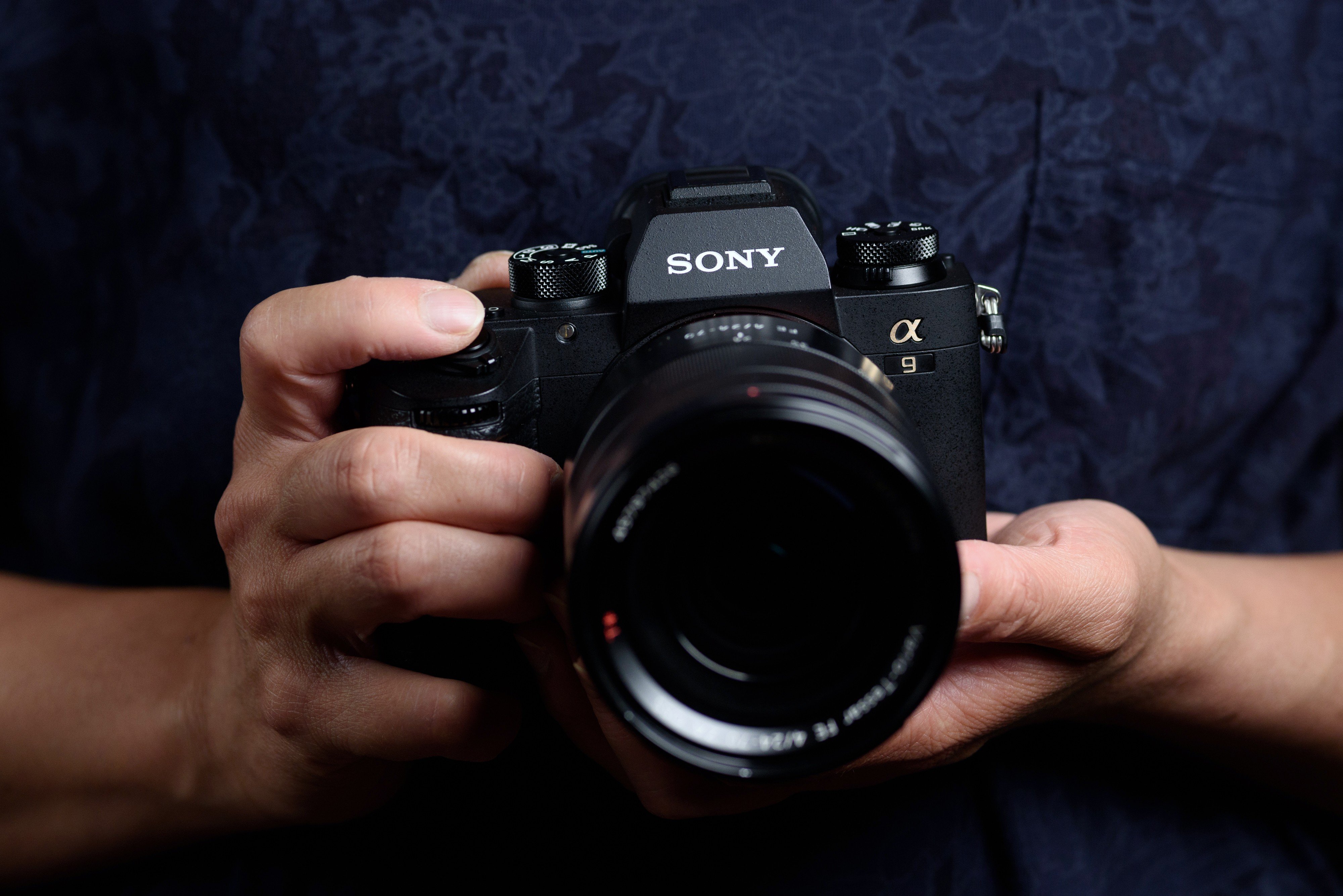 sony mirrorless frame wide lense