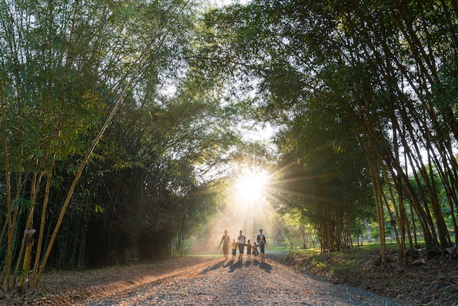 The Pha Tad Ke ethno-botanic garden in Luang Prabang, Laos, created by Dutchman Rik Gidella.