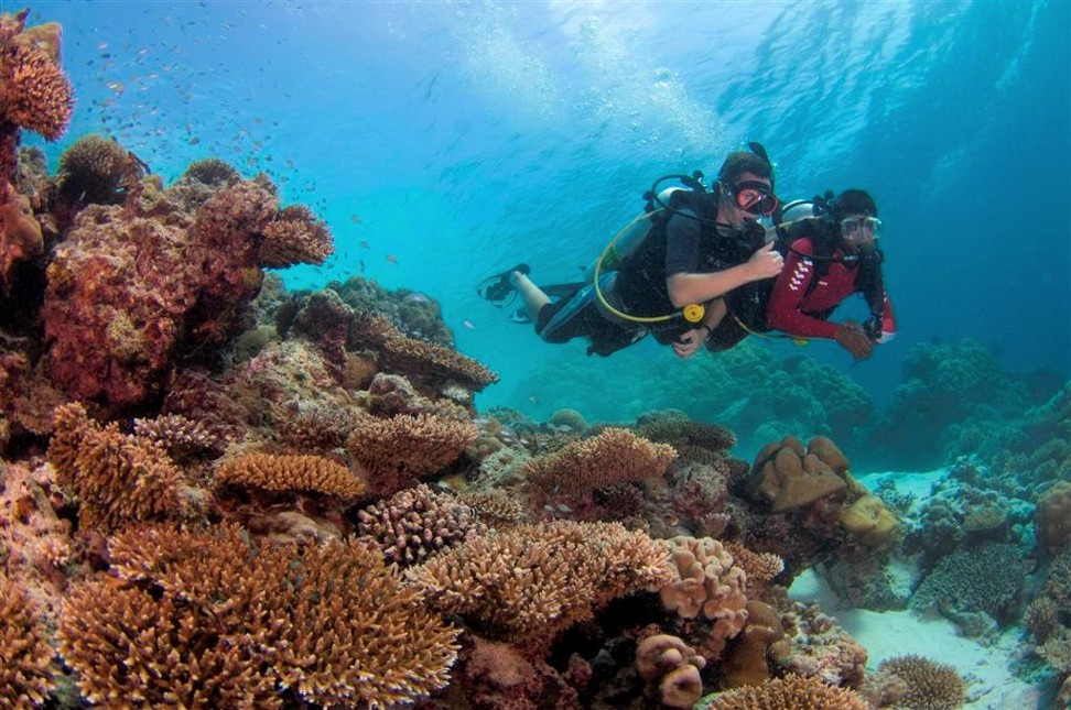 Marine biologists regularly examine the condition of coral reefs in Velavaru.