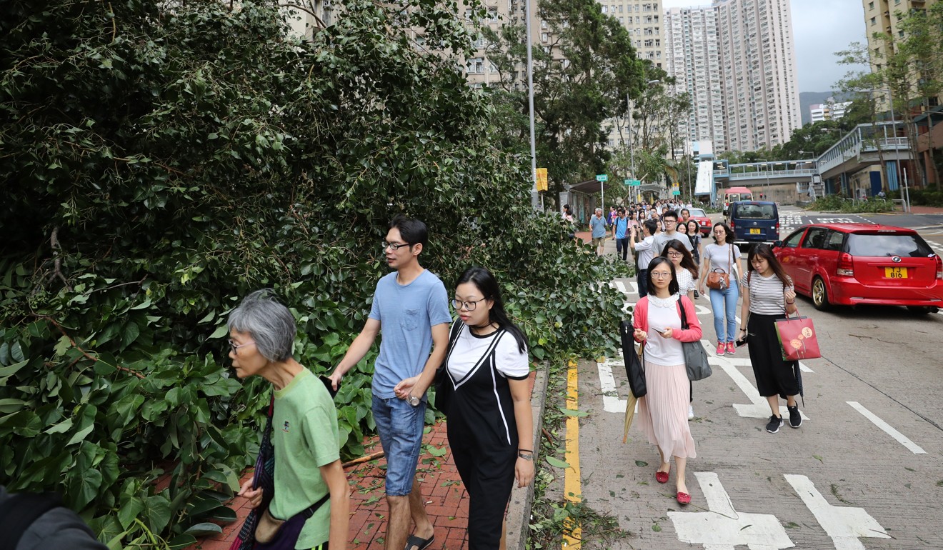 Typhoon damage was still plaguing this bus stop, near Diamond Hill station. Photo: Winson Wong