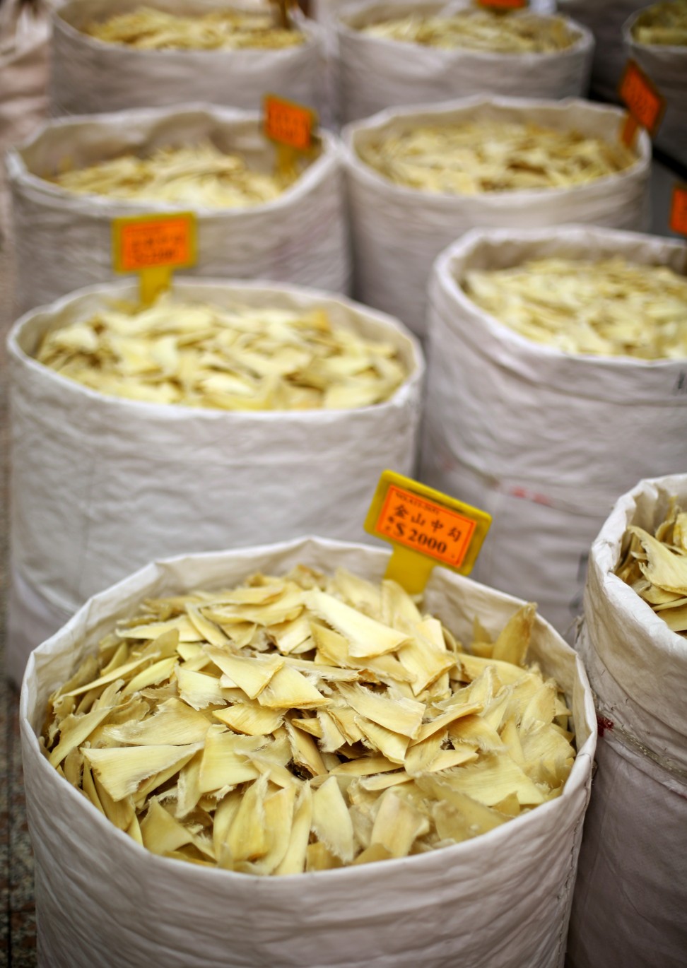 Shark fin on sale at a dried-seafood store in Hong Kong’s Western district. The city’s shark fin imports have halved since 2007 but it remains the hub for half the global trade in fins. Photo: Sam Tsang
