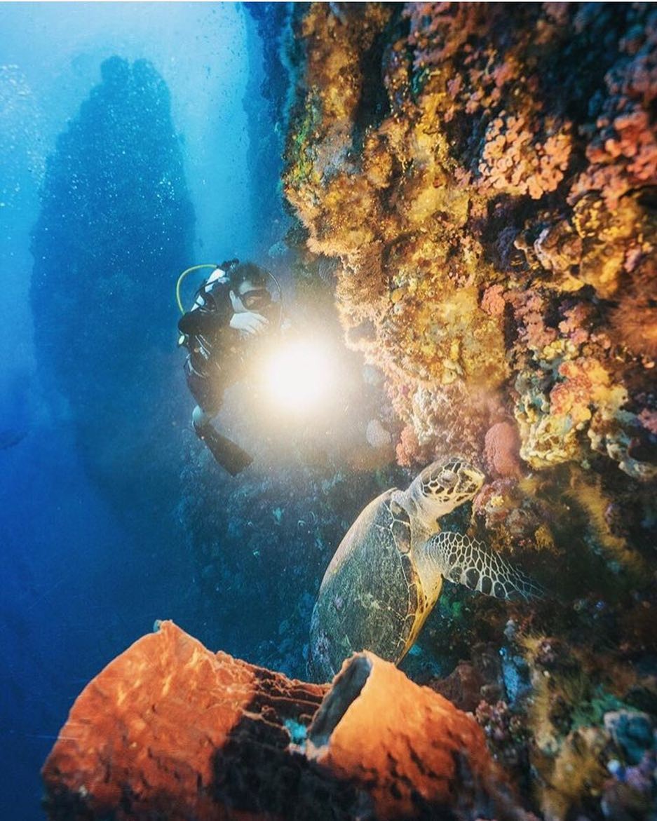 The waters off the coast of Komodo Island – about 400km away from Indonesia’s tourist magnet of Bali – are regarded as providing some of the best diving areas on the planet. Photo: Instagram @rascal_voyages, @kickthegrind
