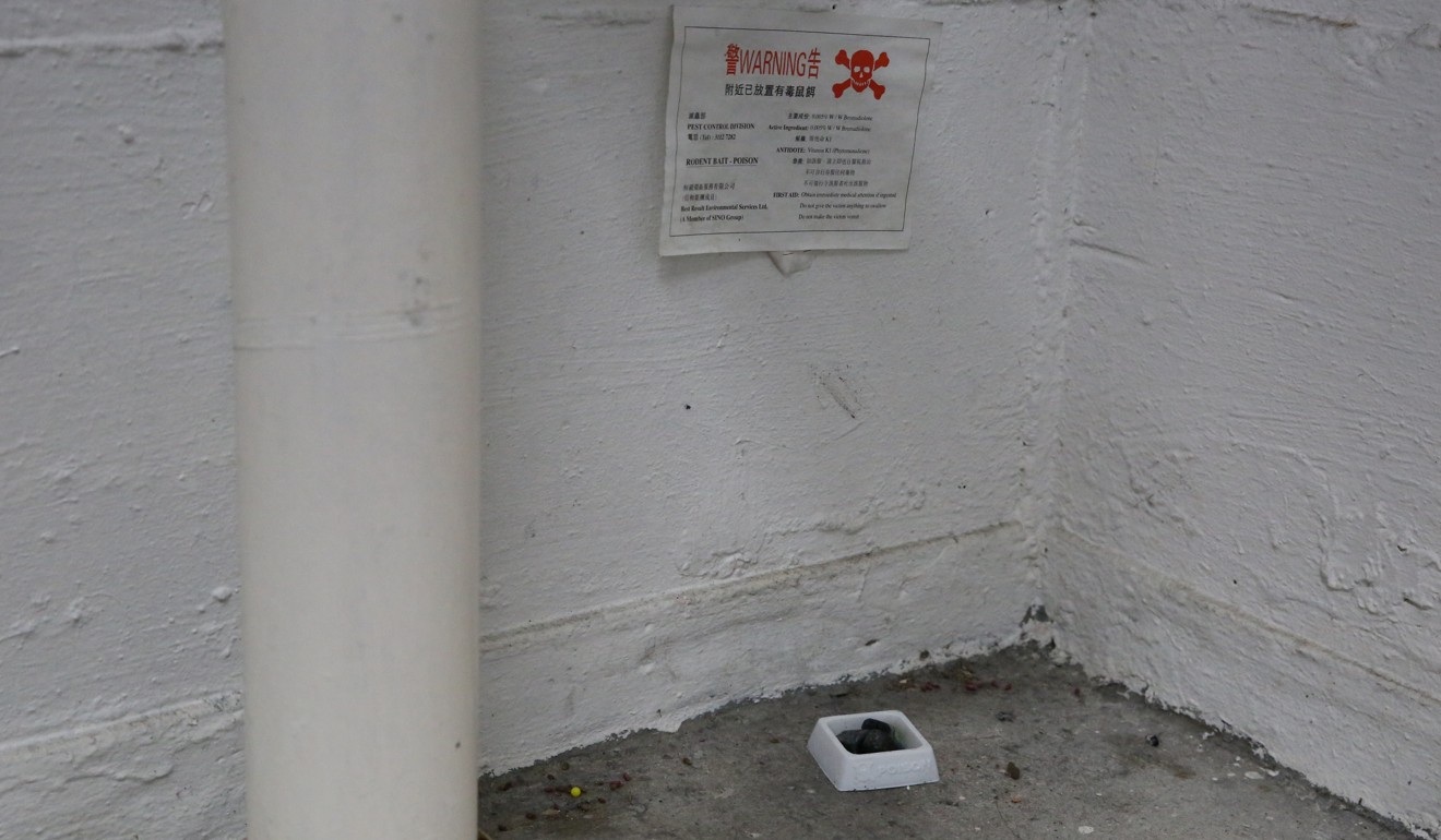 Rat poison has been placed in several parts of Choi Wan estate, where the infected man lives. Photo: Edmond So