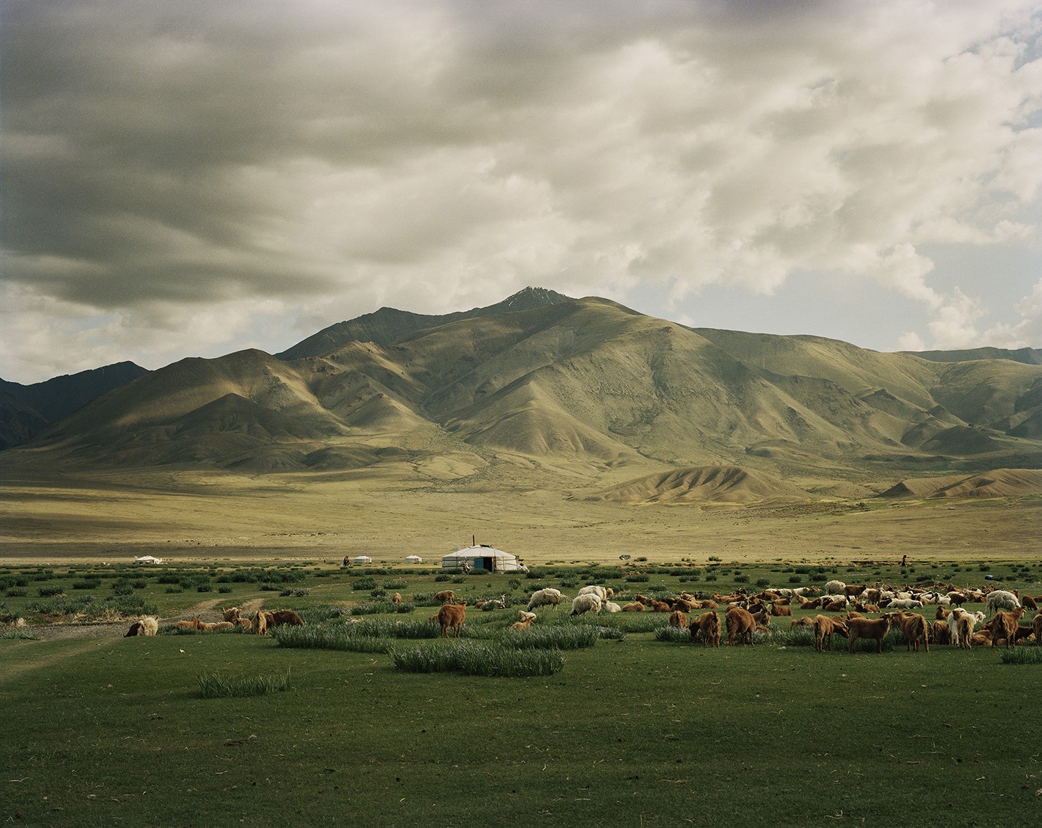 Pico Iyer is blown away by the wind and the wilds of Mongolia – and by the photography of Frenchman Frédéric Lagrange that gets to the heart of a nation in many ways unchanged since Genghis Khan
