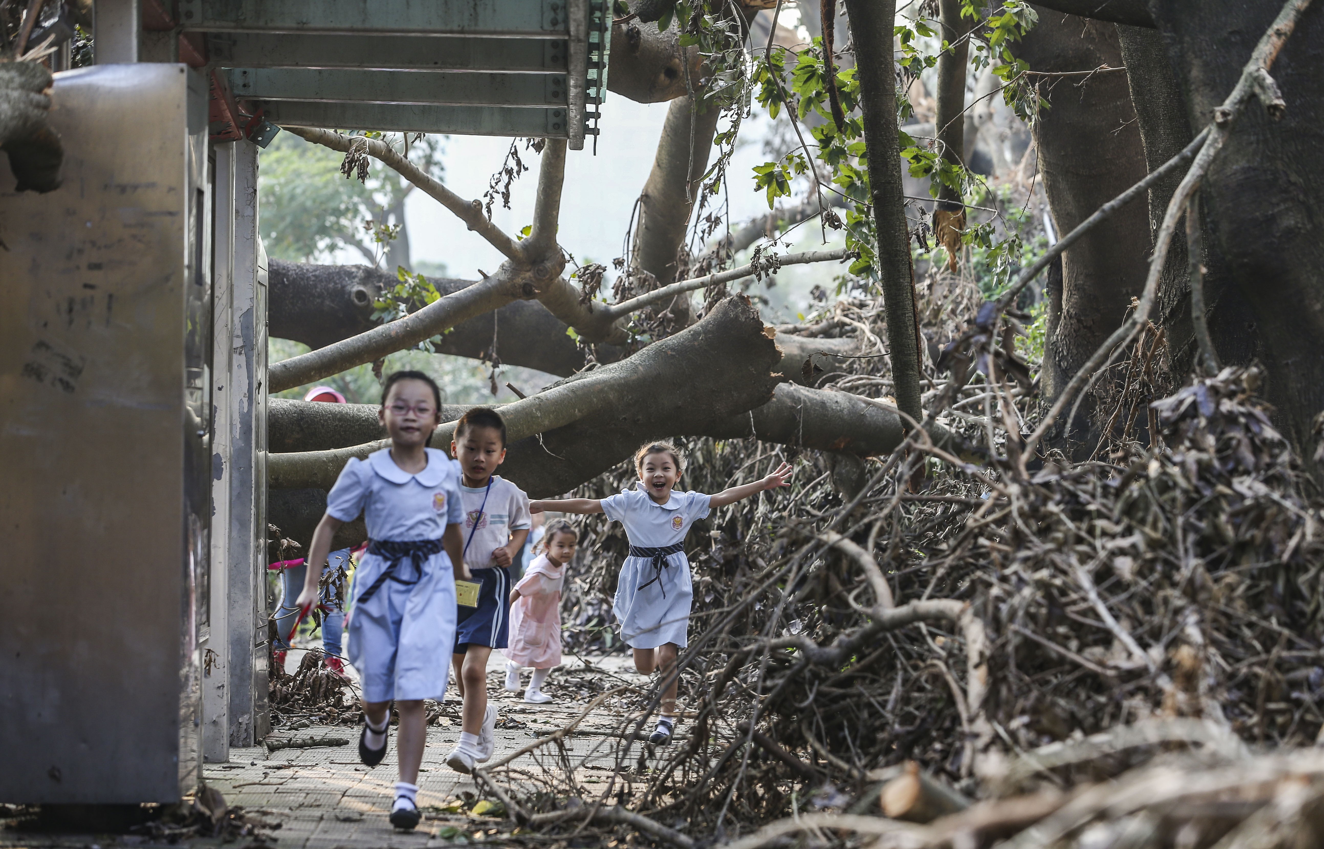 Children walk under collapsed trees along Tin Ping Road in Sheung Shui after Typhoon Mangkhut. Photo: Sam Tsang
