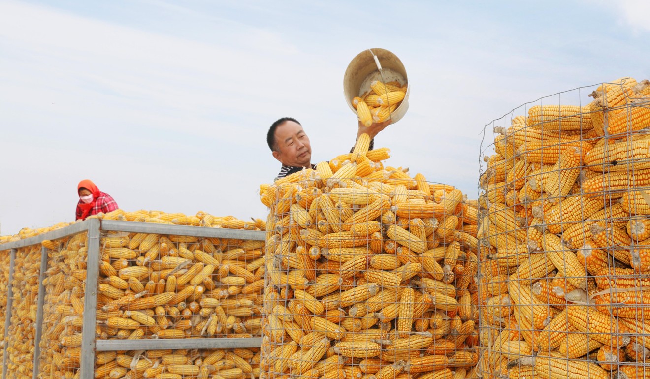 Farmers drying corn in east China’s Jiangsu Province. The country’s gross domestic product expanded 6.7 per cent year on year in the first three quarters of 2018 to about 65.09 trillion yuan (about US$9.38 trillion), data from the National Bureau of Statistics showed 10 days ago. Photo: Xinhua