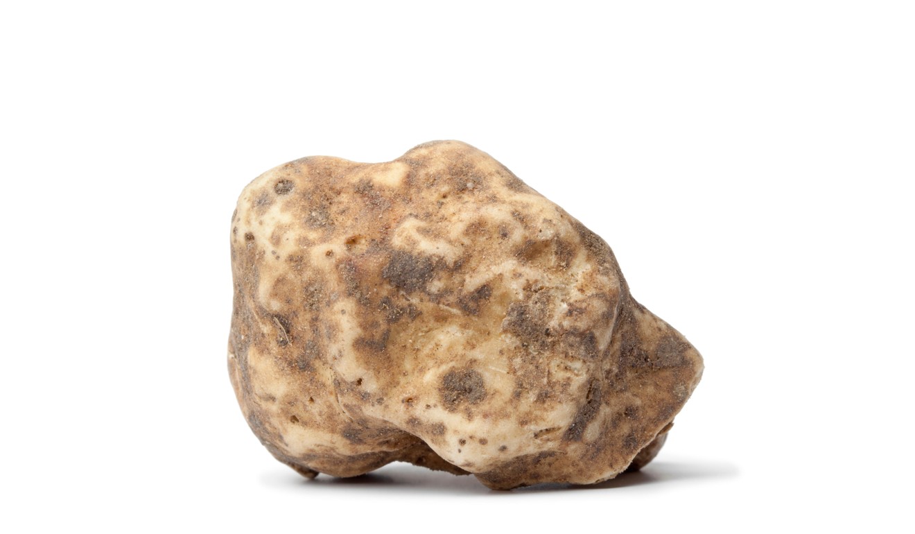 White truffles from the area around Alba are highly sought after. Photo: Alamy