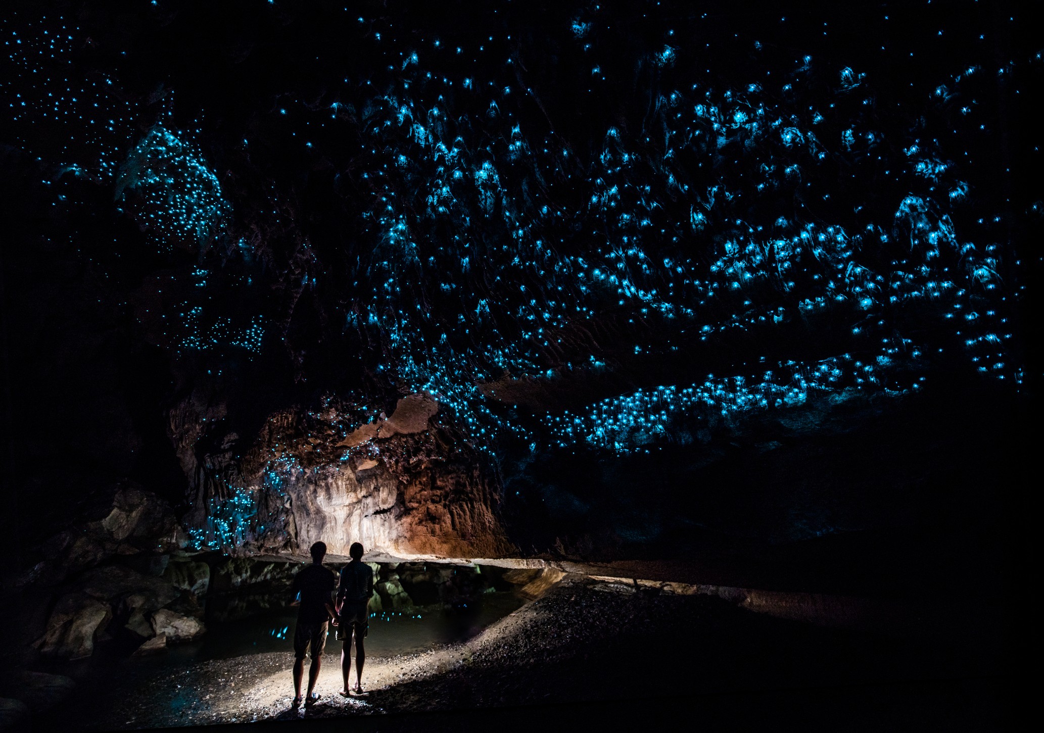 The Glow-worm Cathedral at the end of Waipu Cave in New Zealand