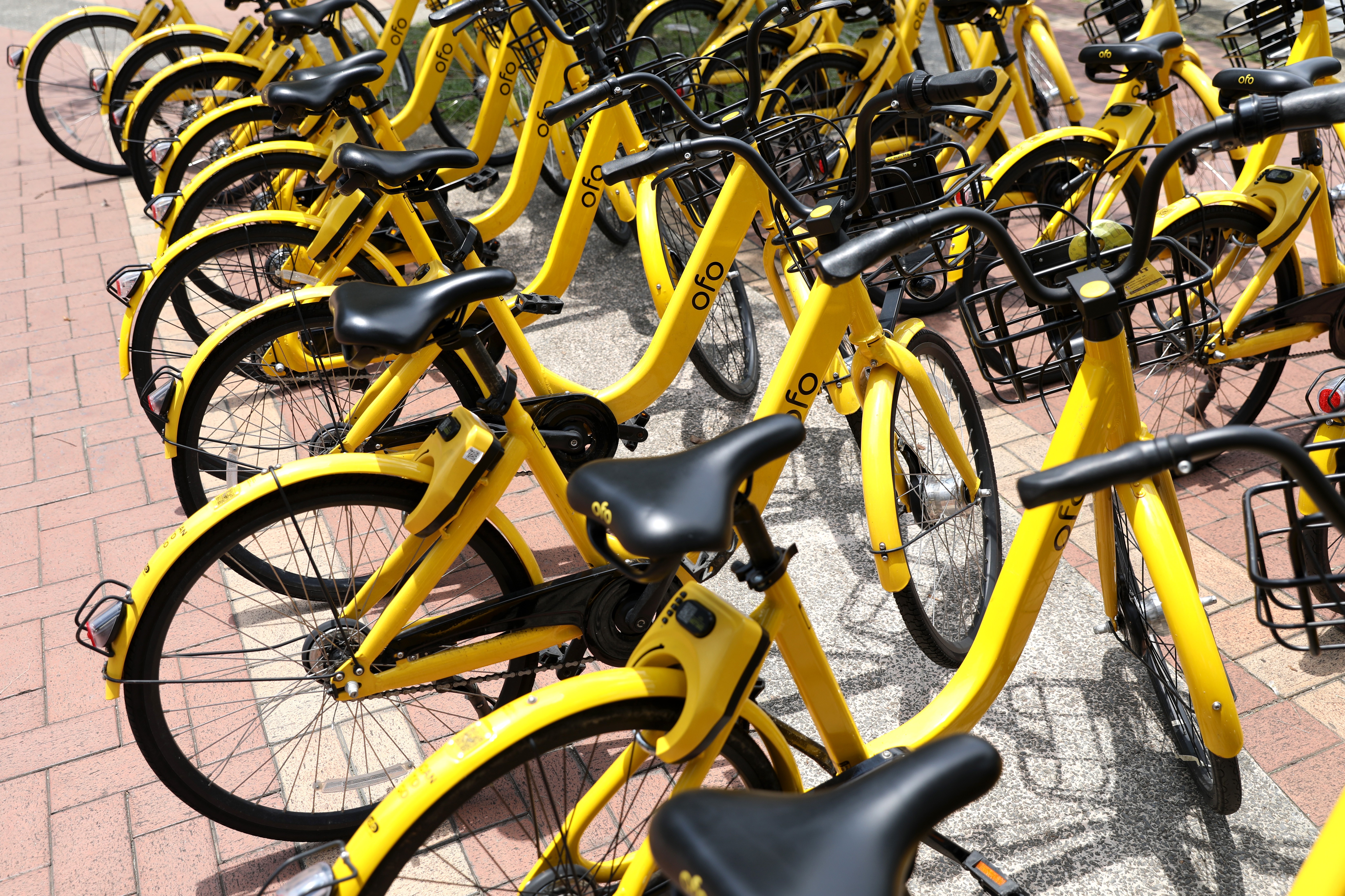 ofo bike contact