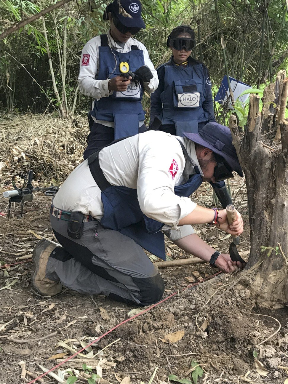 Gibbs digs into a tree stump in search of unexploded ordnance. Picture: Padraic Convery