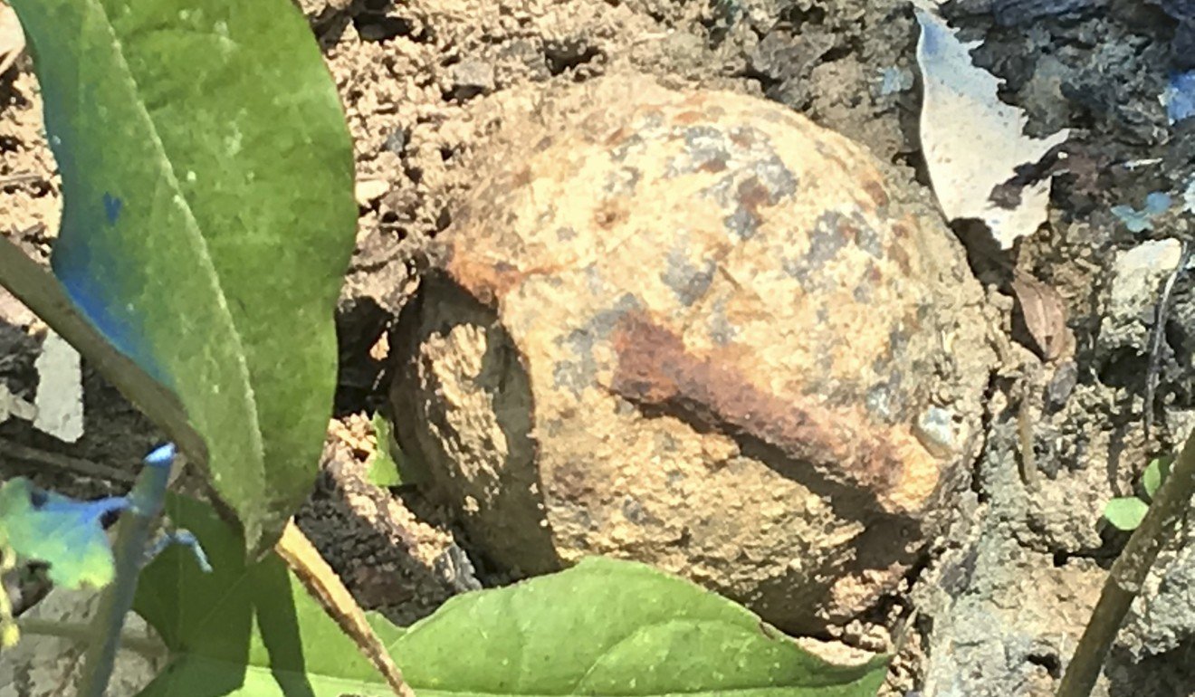 A BLU 26 cluster bomblet in Xépôn. Picture: Padraic Convery