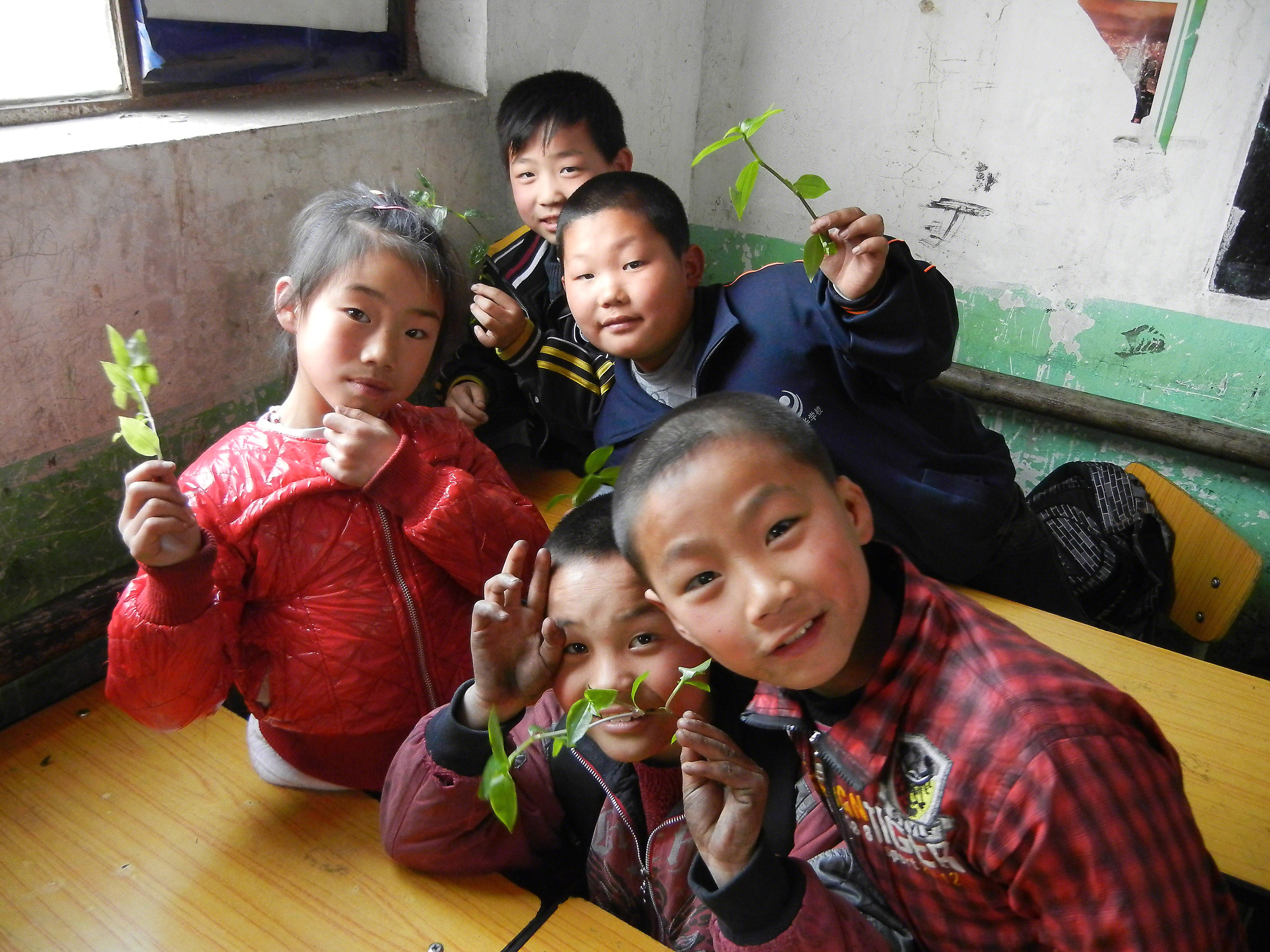 Migrant children learn about plants in a class on the environment. Even though Chinese law mandates all migrant children be given access to education, some schools impose additional requirements for them to enrol, in an effort to make access harder. Photo: JGI China