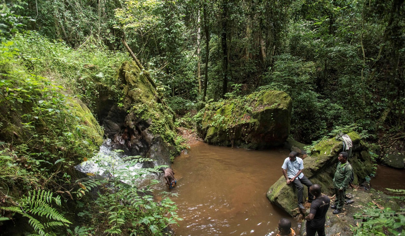 People enjoying a waterfall in the Kyebi Forest Reserve this month. Photo: AFP