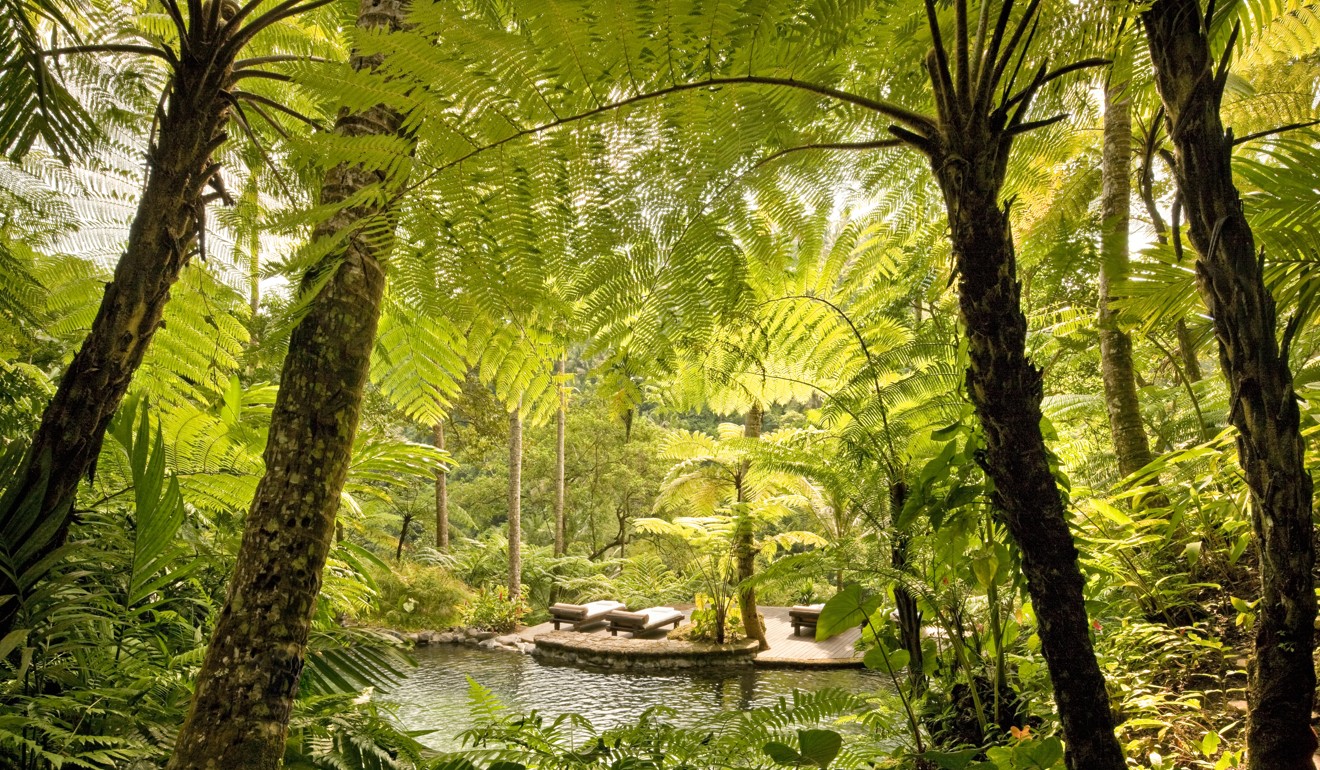 A water garden at Como Shambhala Estate in Bali.