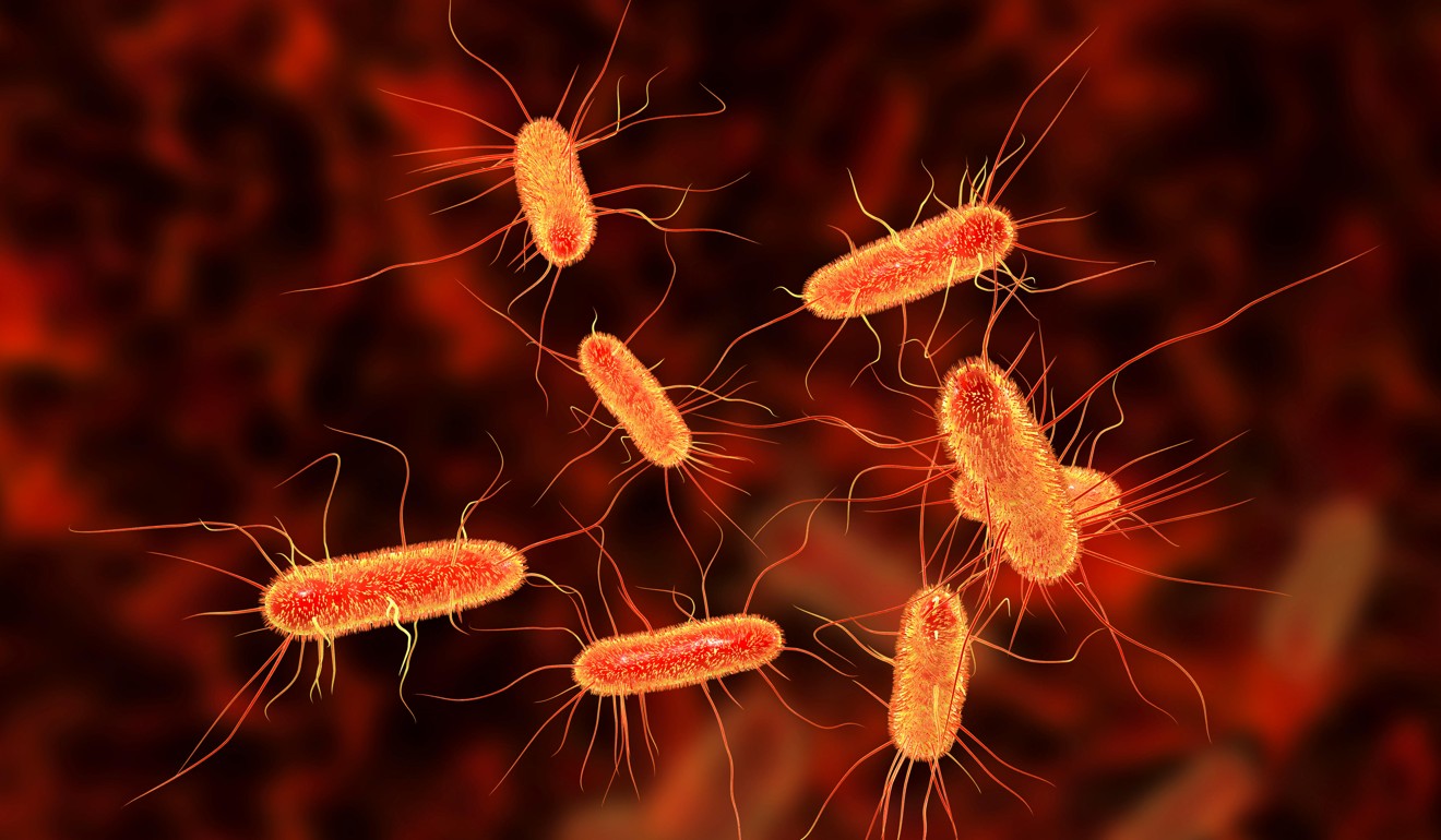 Computer illustration of E coli bacteria. E coli is a rod-shaped bacterium. It is a normal component of the intestinal bacterial flora, but under certain conditions some strains can cause severe infections such as gastroenteritis. Photo: Alamy