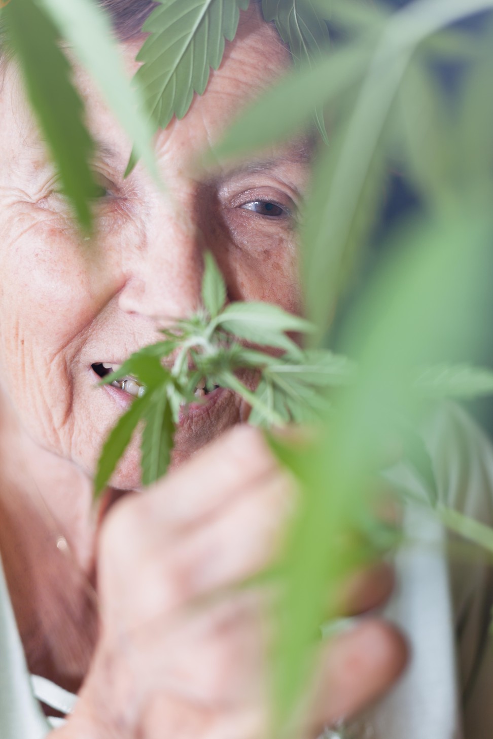 CBD is slowly gaining recognition around the world as a viable medicinal product. Photo: Alamy