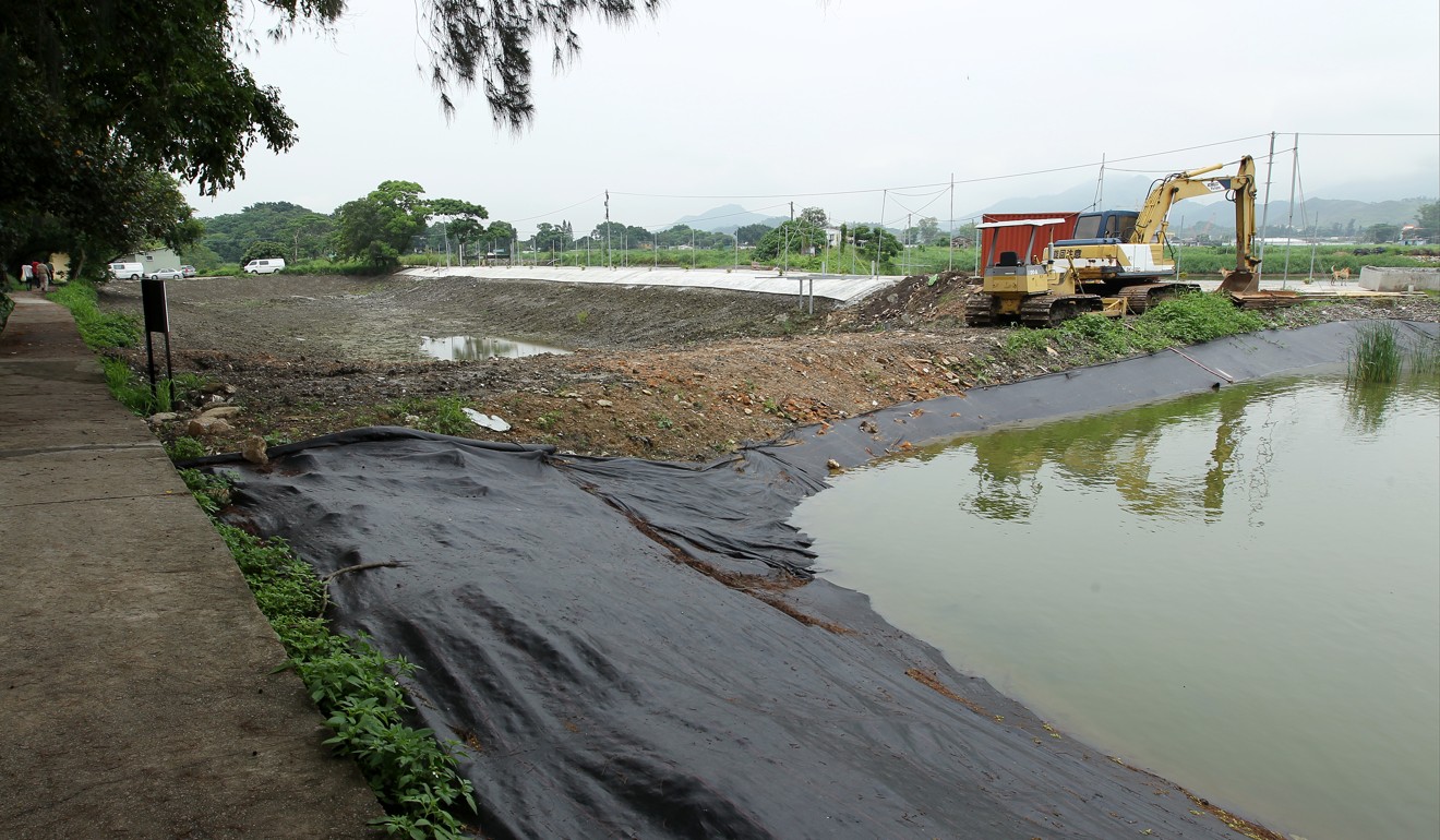 Hong Kong s Mai Po Wetlands Kept Strong By Buffer Areas South China Morning Post