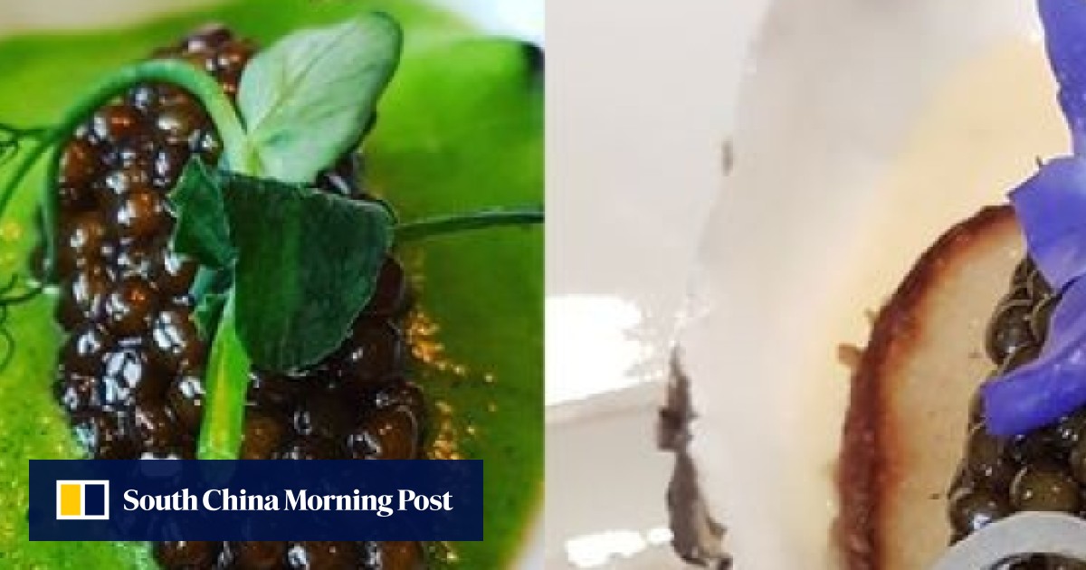 Why Dining In Paris Better Than Ever South China Morning Post