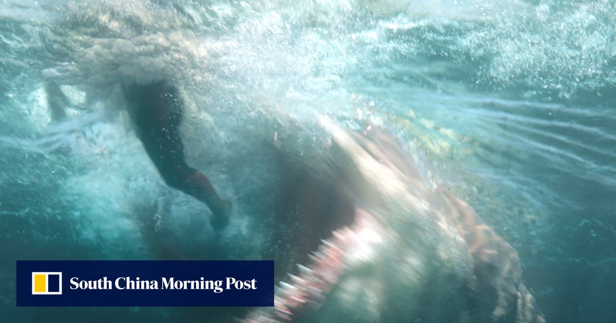 The 12 Best Sea Monster Movies Ranked If The Meg Doesn T Float Your Boat South China Morning Post