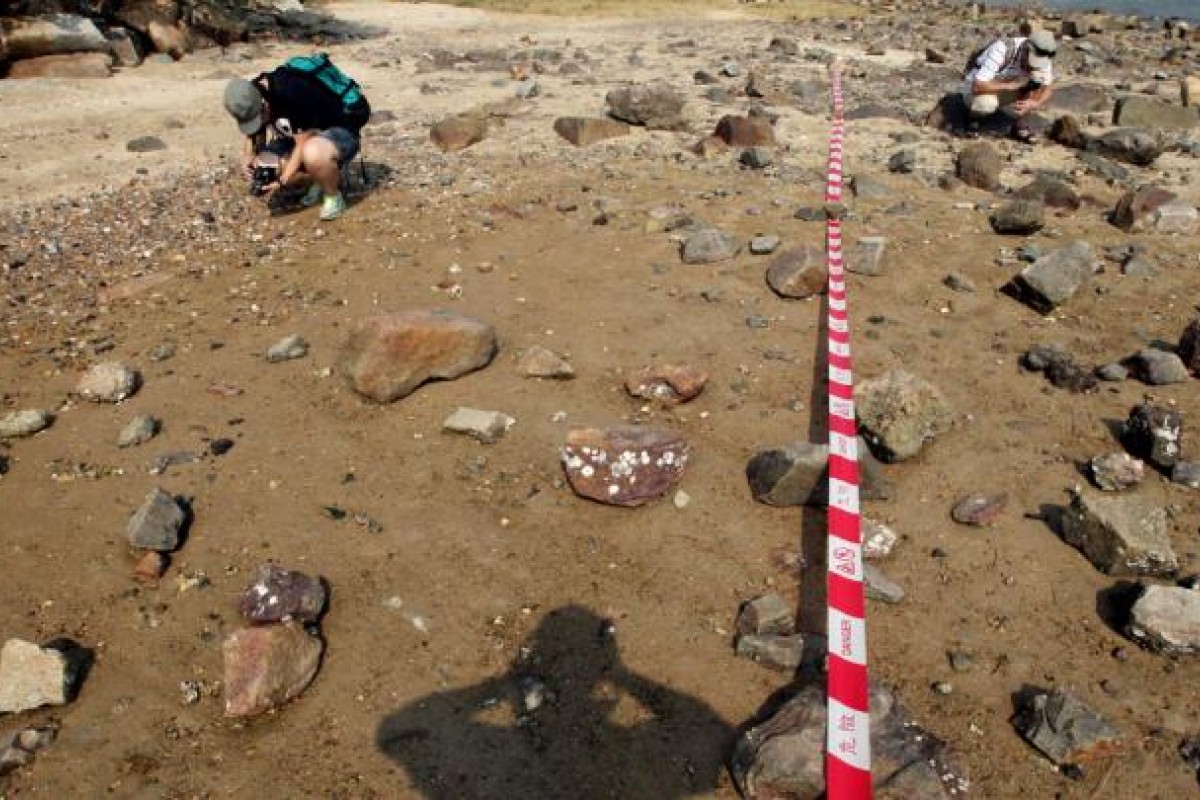 Do Policymakers Recognise Ecological Value South China Morning Post