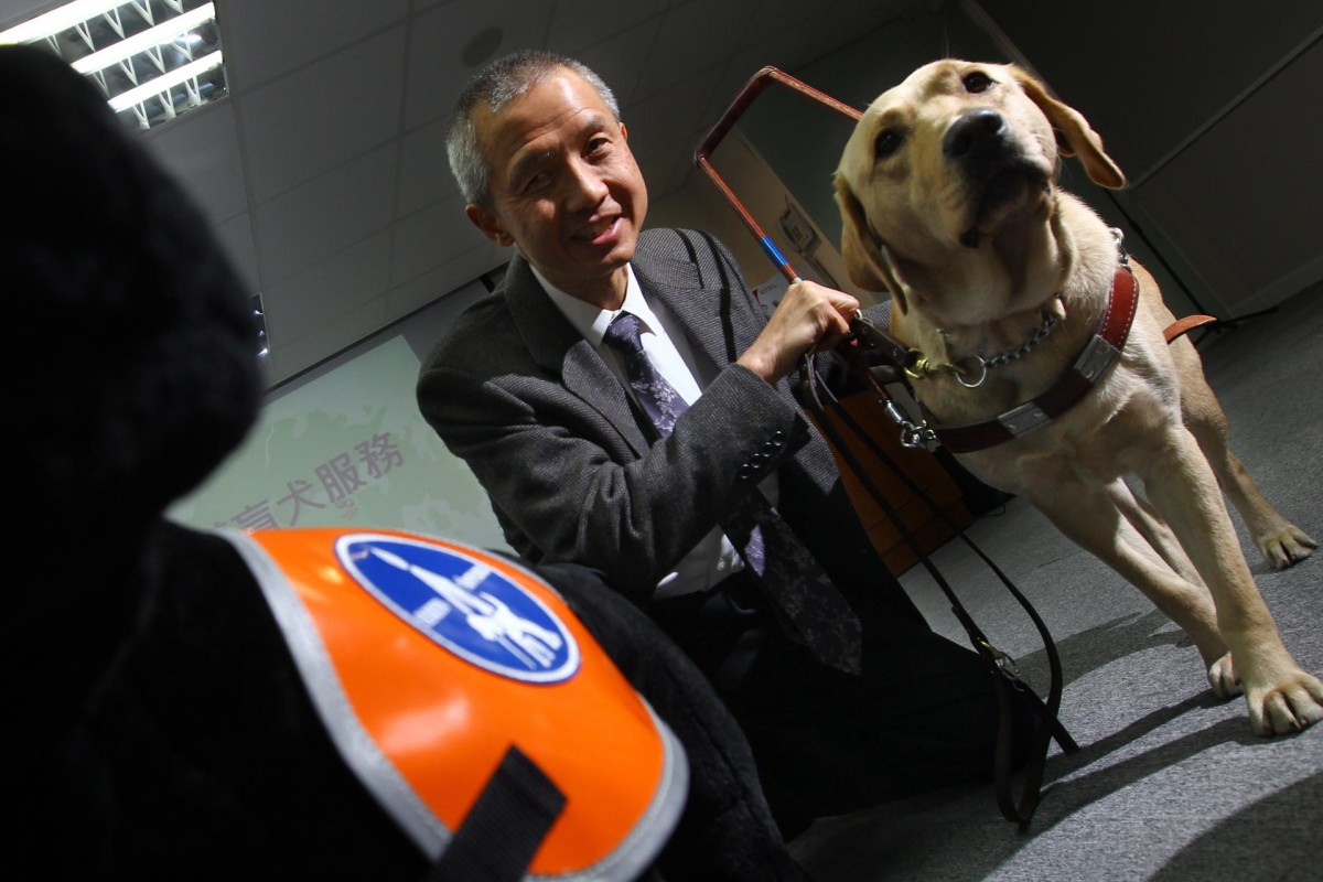 Training school aims to get more guide dogs on Hong Kong streets