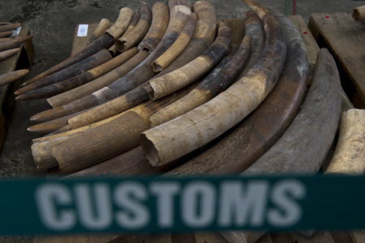 China must help to stop bloody ivory trade | South China Morning Post