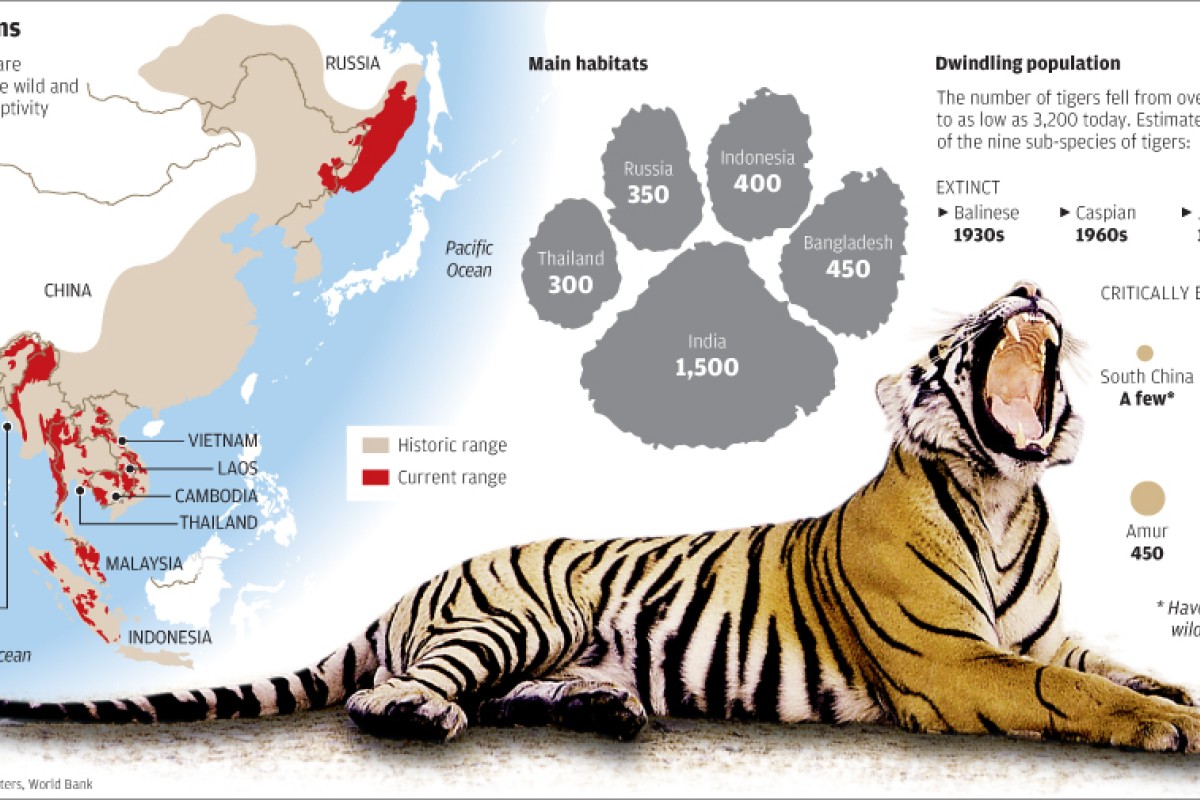 siberian tiger habitat map