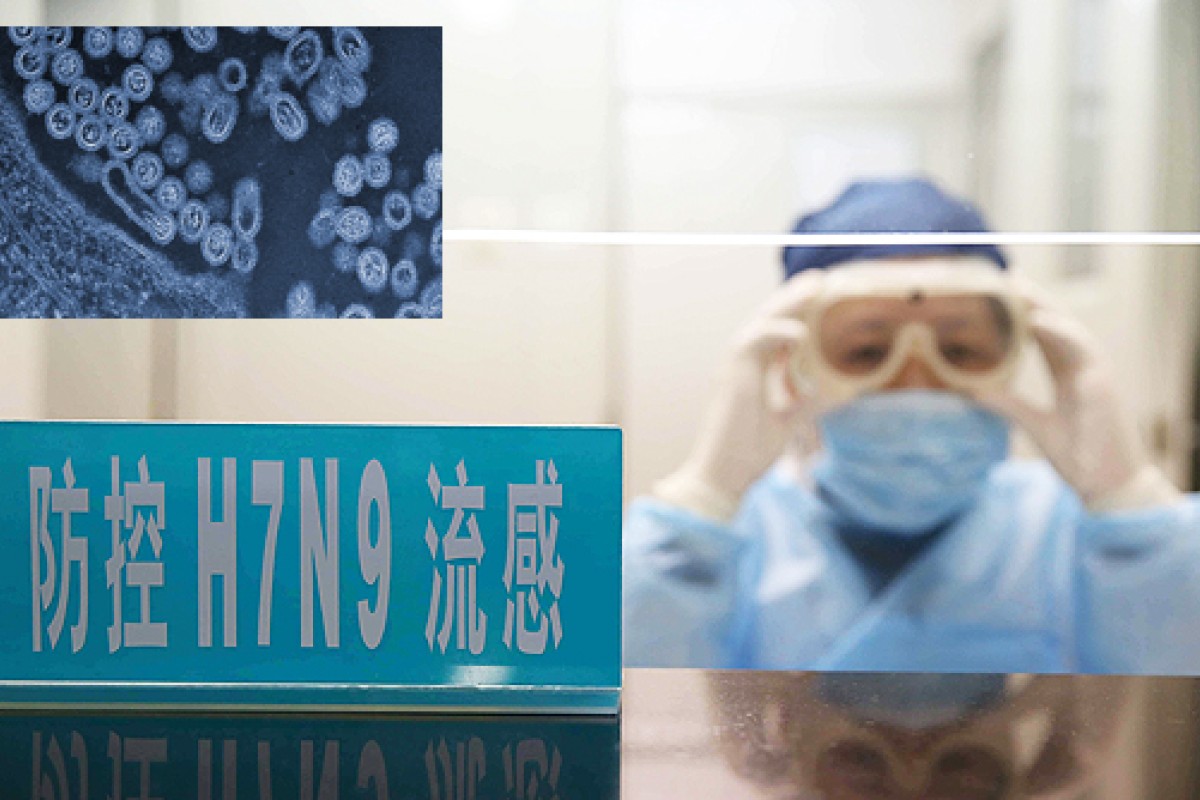 Co-infection of chickens with H9N2 and H7N9 avian influenza viruses ...