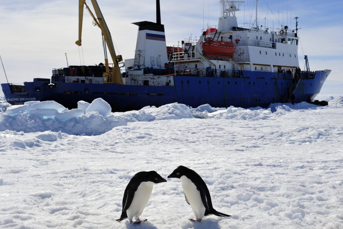 Antartica Sex Videos - 5 Antarctic facts for climate change sceptics | South China ...